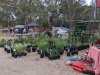 Plants for sale