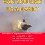 Give Us A Hand